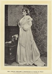 Miss Evelyn Millard: eine Erinnerung an Den Wind säen