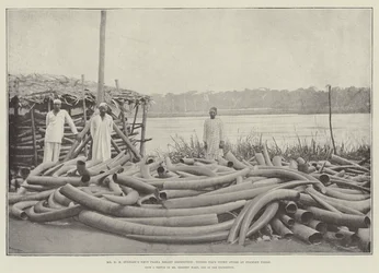 Herr H M Stanleys Emin-Pascha-Entlastungsexpedition, Tippoo Tibs Elfenbeinlager bei Stanley Falls