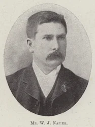 Mr. W. J. Napier