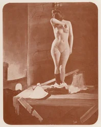 Nudistische Kunst: Sabotage