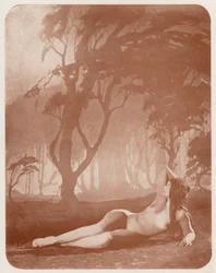 Nudistische Kunst: Dämmerung