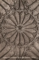 Oxford, Christ Church, Speisesaal, Treppendecke