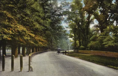 Queens Road, die Backs