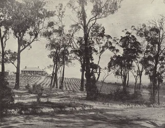 Szene auf der Gembrook Road, Victoria