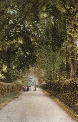 Spencer Straße, Ryde