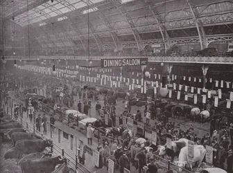 Die Viehschau, Royal Agricultural Hall