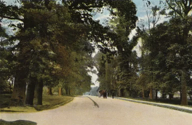 Die Lange Allee, Coventry