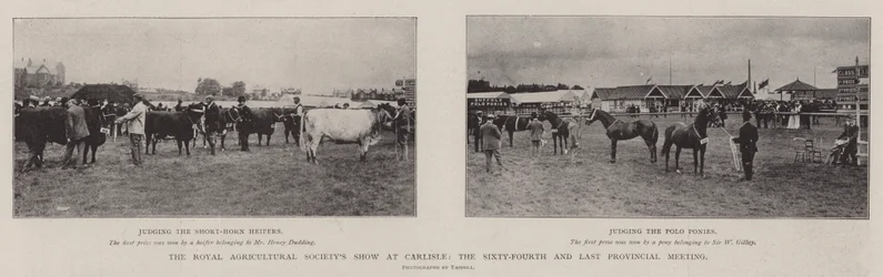 Die Ausstellung der Royal Agricultural Society in Carlisle, das vierundsechzigste und letzte Provinztreffen