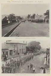 Der Transvaal-Krieg, Szenen in Natal