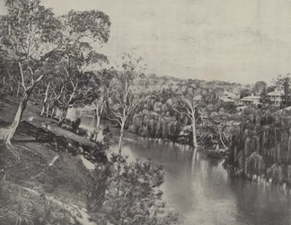Der Yarra bei Studley Park