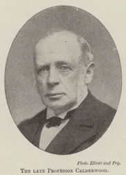 Der verstorbene Professor Calderwood