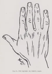 Der quadratische oder nützliche Hand