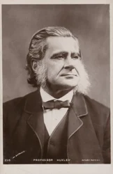 Thomas Henry Huxley (1825-1895), englischer Biologe