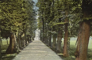 Trinity College, die Allee