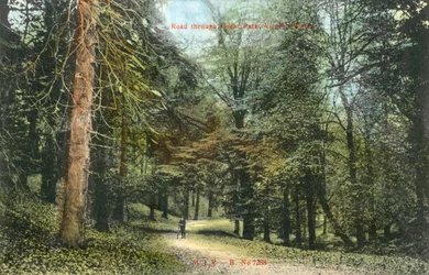 Windsor Great Park, Virginia Water