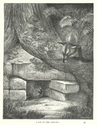 Ein Fuchs auf der Lauer (Gravur)