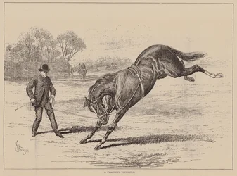 Ein widerspenstiges Kind (Gravur)