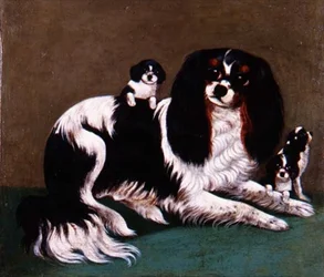 Eine Familie von King Charles Spaniels, Provinzschule