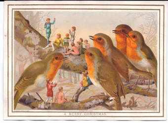 Viktorianische Weihnachtskarte mit fünf Rotkehlchen, die auf einem Ast sitzen und einer Feenband zuhören, ca. 1880