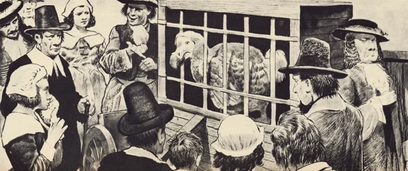 Ein Dodo wird im siebzehnten Jahrhundert in England ausgestellt (Lithografie)