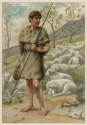 Abel und seine Schafe