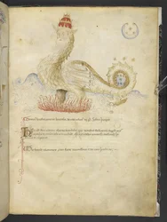 Joachimi Abbatis de Curatio, et Anselmi, Episcopi Marsicani, Vaticinia xxx de Pontificibus Romanis; scil., a Nicolao III. ad Innocentium VIII (ca. 1500)