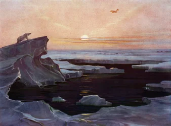 Flugzeug fliegt über die Arktis