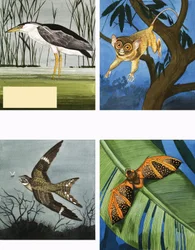 Alle Arten von Nachtkreaturen