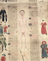 Anatomisches Diagramm, aus De arte phisicali e de cirugia von John Ardene, 1412