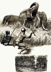 Alte Völker der Welt: Kleine Fallensteller des Dschungels