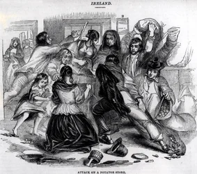 Angriff auf ein Kartoffellager in Irland, ca. 1845
