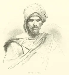 Beduine des Sinai