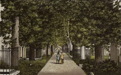 Birmingham: Harborne Avenue