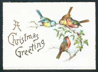Blaumeisen und Rotkehlchen, Weihnachtskarte