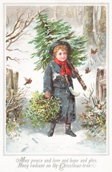 Junge trägt Weihnachtsbaum auf der Schulter, Weihnachtskarte