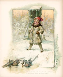 Junge beobachtet Enten im Schnee