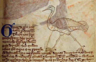 CCA-LitMs/D/10 fol. 14r Kranich, aus Bestiarium