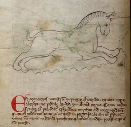 Monoceros, aus Bestiarium
