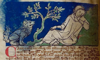 CCA-LitMs/D/10 fol. 5v Hund, aus Bestiarium