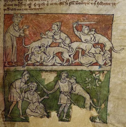 CCA-LitMs/D/10 fol. 6r Hund, aus Bestiarium