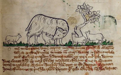 CCA-LitMs/D/10 fol. 8r Schaf, aus Bestiarium