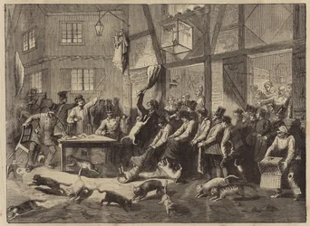 Katzenrennen in Lüttich