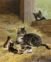 Katze mit ihren Kätzchen in einer Scheune