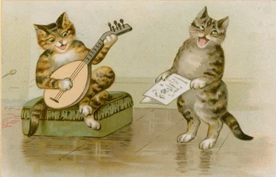 Katzen machen Musik
