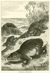 Cheirotherium, oder Hand-Tier