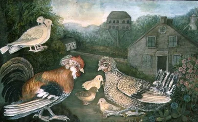 Hühner und Tauben in der Nähe eines Bauernhofs