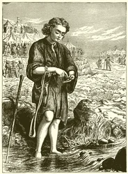 Auswahl glatter Steine aus dem Bach