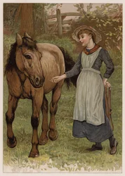 Clever Dobbin
