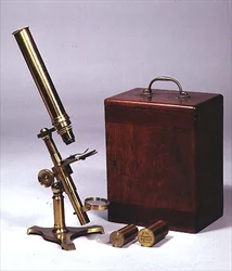 Monokulares Mikroskop, hergestellt von Amadio Optician, London, ca. 1860