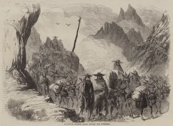 Transport spanischer Weine über die Pyrenäen (Gravur)